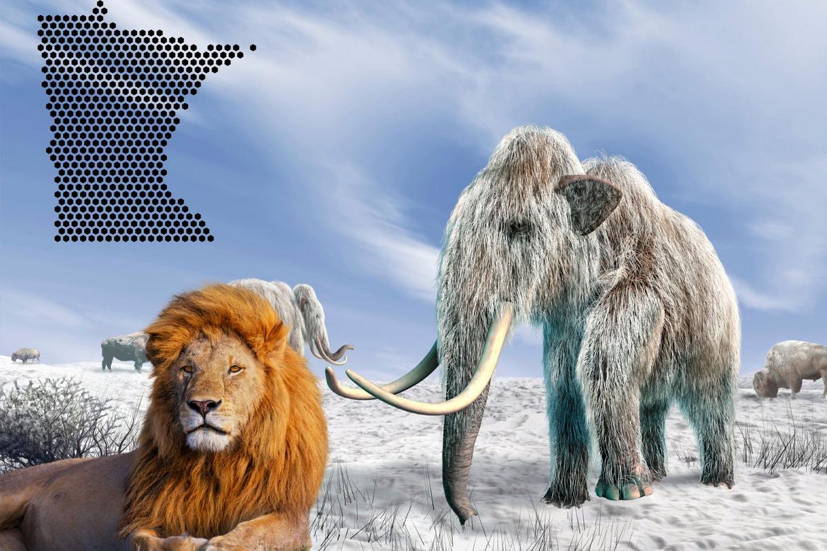 5 Long-Gone Beasts That Once Roamed Minnesota