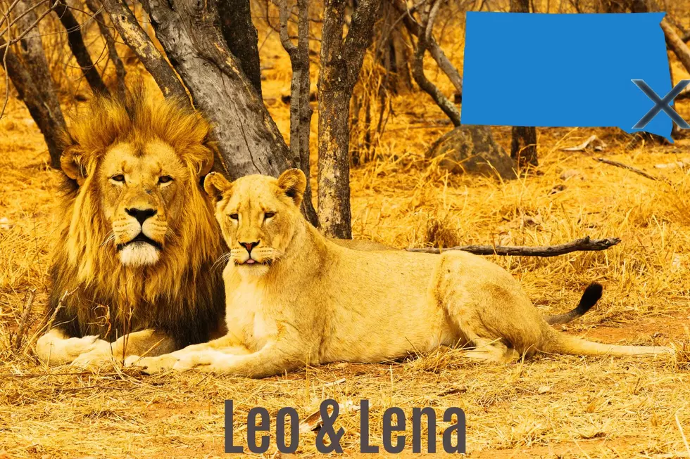 Credit: Canva