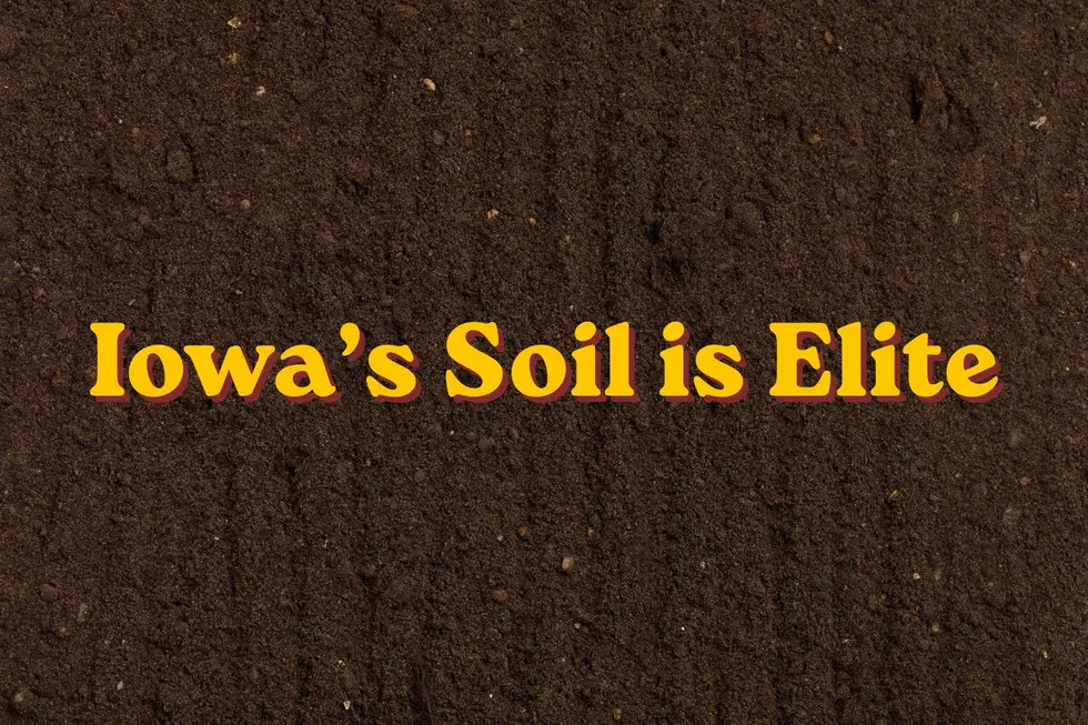 Only Four Places on Earth Have Better Soil Than Iowa
