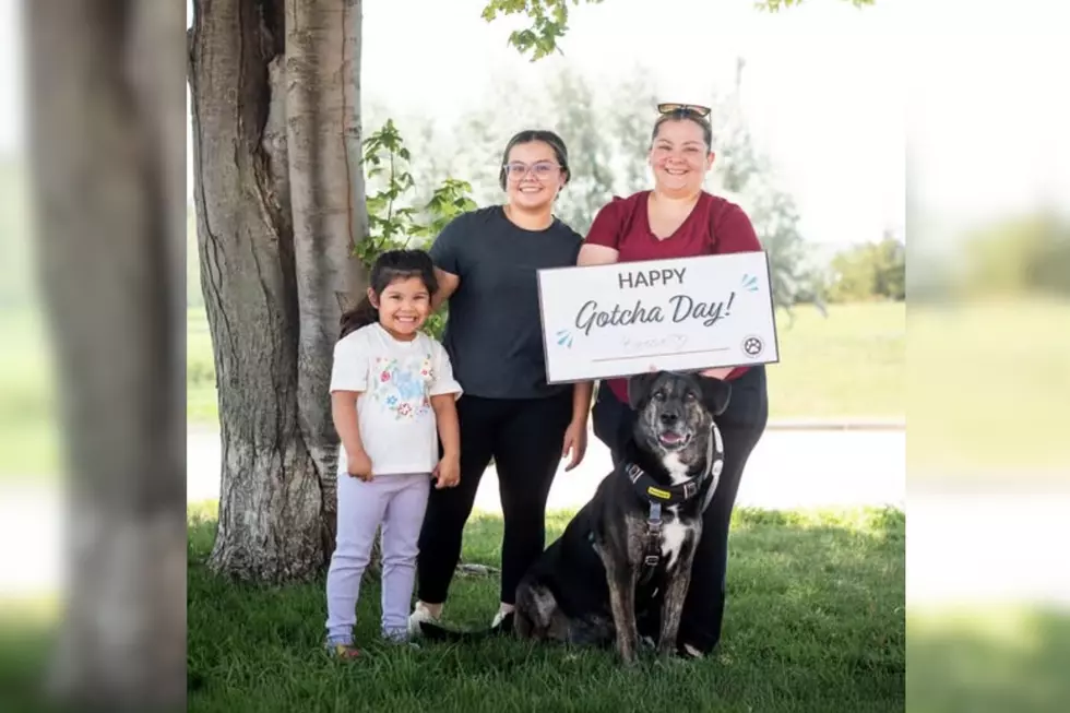 Sioux Falls Area Humane Society