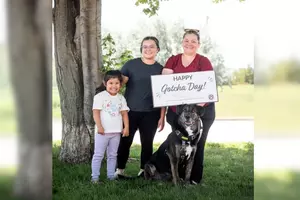 After Waiting 155 Days, Sweet Sioux Falls Dog Is Finally Home