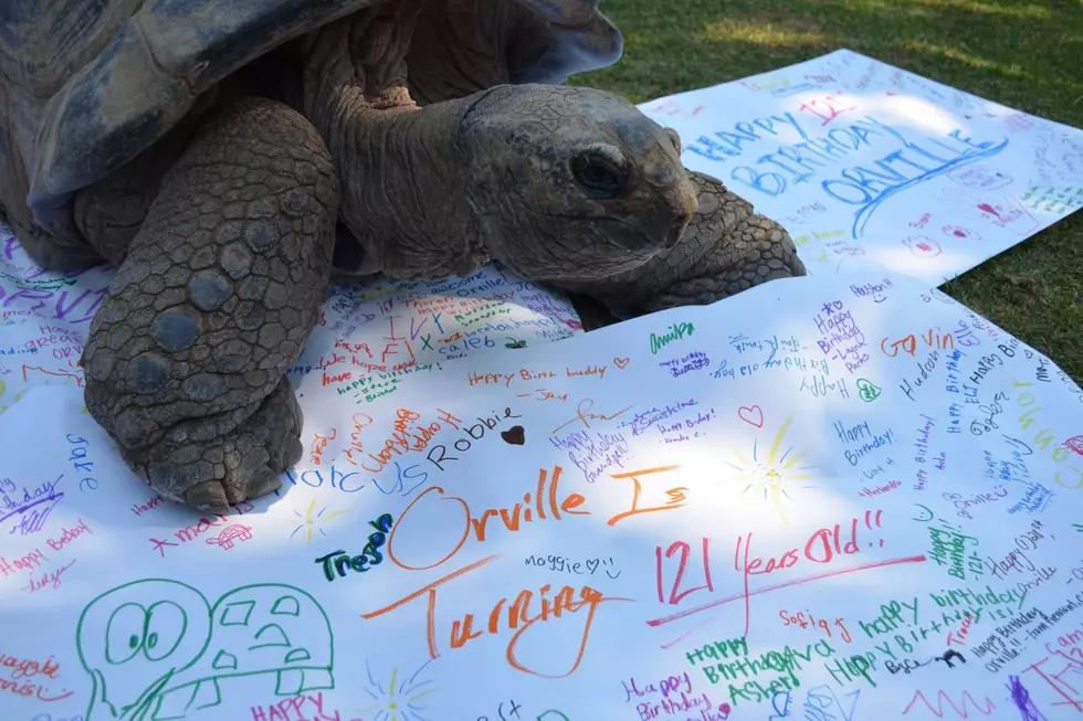 Reptile Gardens Celebrates Major 121st South Dakota Birthday