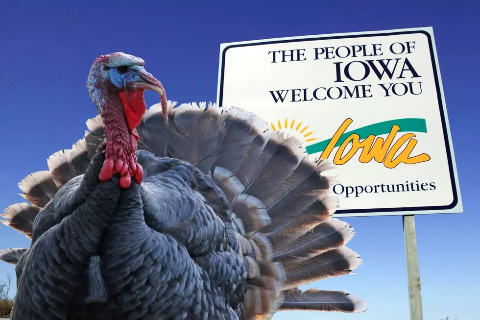 Have You Heard of the Famous Iowa State Fair Turkey Call Contest?