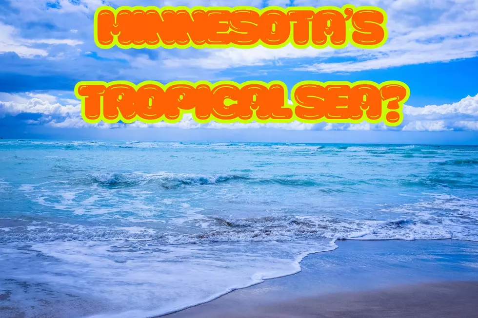 Credit: Canva