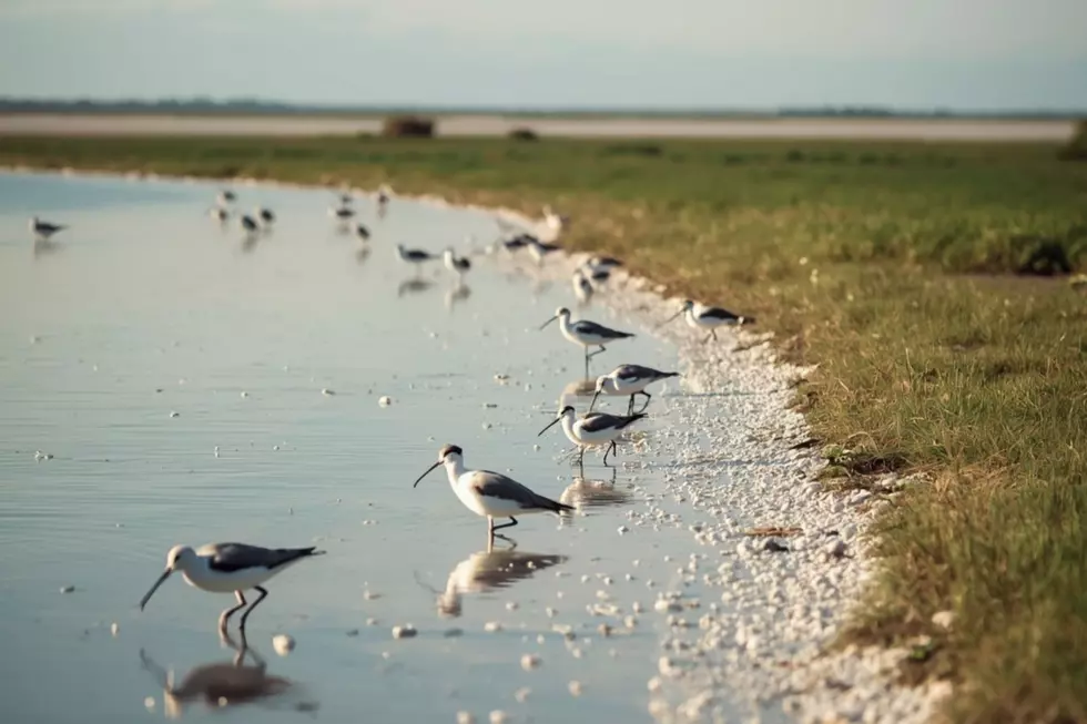 Where Can You Find Minnesota's ONLY Salt Lake?