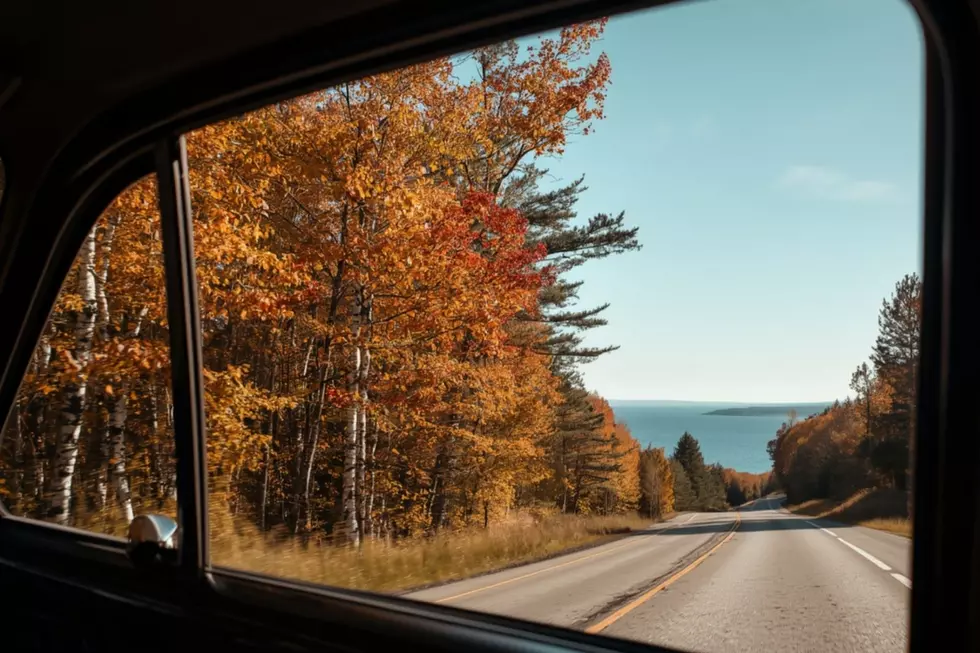 Take This Minnesota Drive for the Best Fall Foliage Road Trip