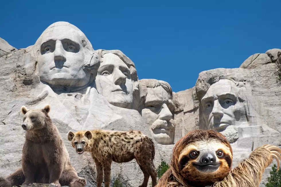10 Surprising Animals You Can Keep As a Pet in South Dakota