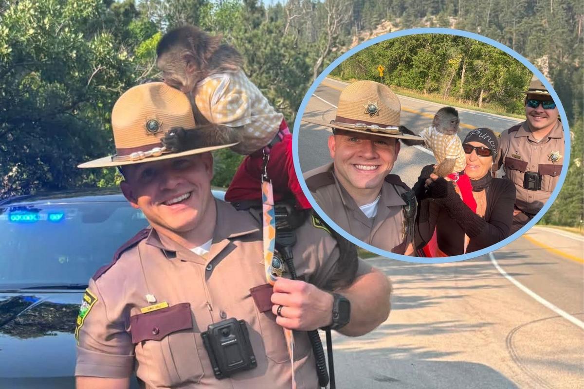 Meet The Newest South Dakota State Trooper-Julie the Monkey