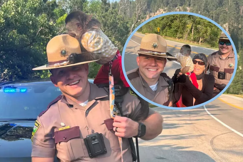 Meet The Newest South Dakota State Trooper-Julie the Monkey