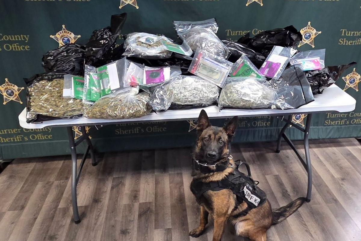Good Dogs! Local South Dakota K-9 Unit Helps in Major Drug Bust