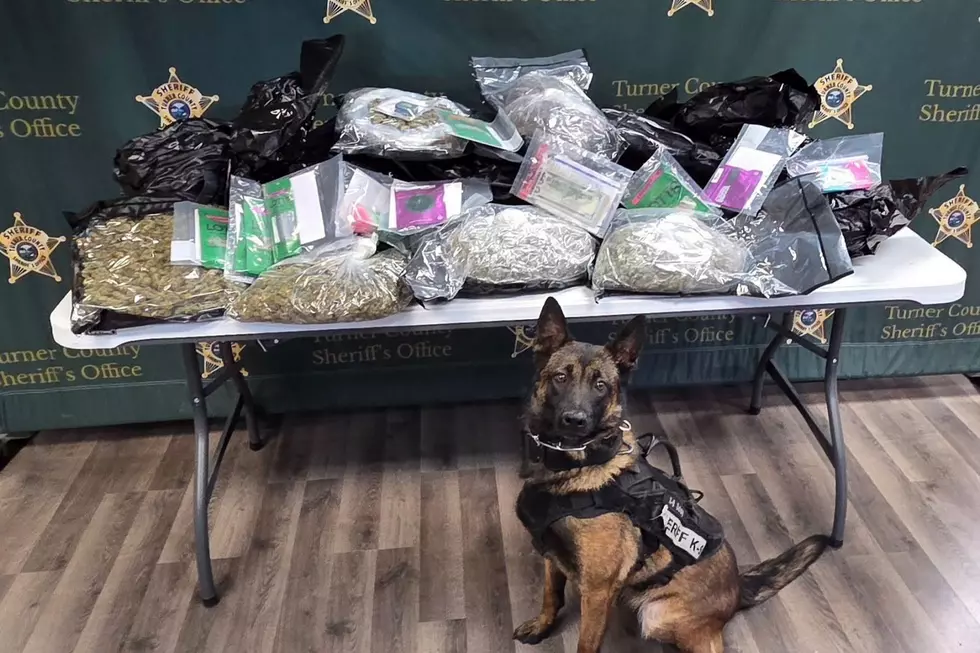 Good Dogs! Local South Dakota K-9 Unit Helps in Major Drug Bust