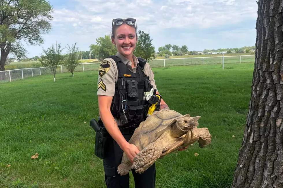 Pennington County Sheriff's Office (via Facebook)