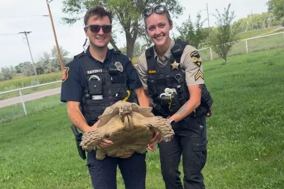 Pennington County Sheriff's Office (via Facebook)