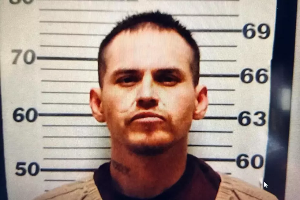 Yankton County Sheriff's Office (via Facebook)