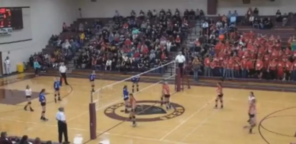 Volleyball Double Shot Takes Out Player and Fan [VIDEO]
