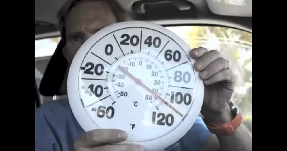 See How Hot It Really Gets in Your Car [VIDEO]
