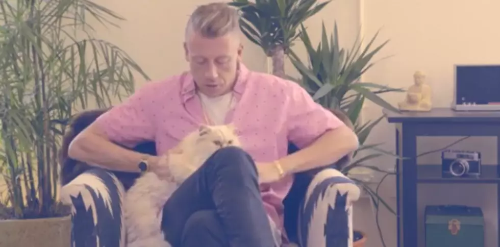 Let Macklemore Teach You How To Hold A Cat [VIDEO]