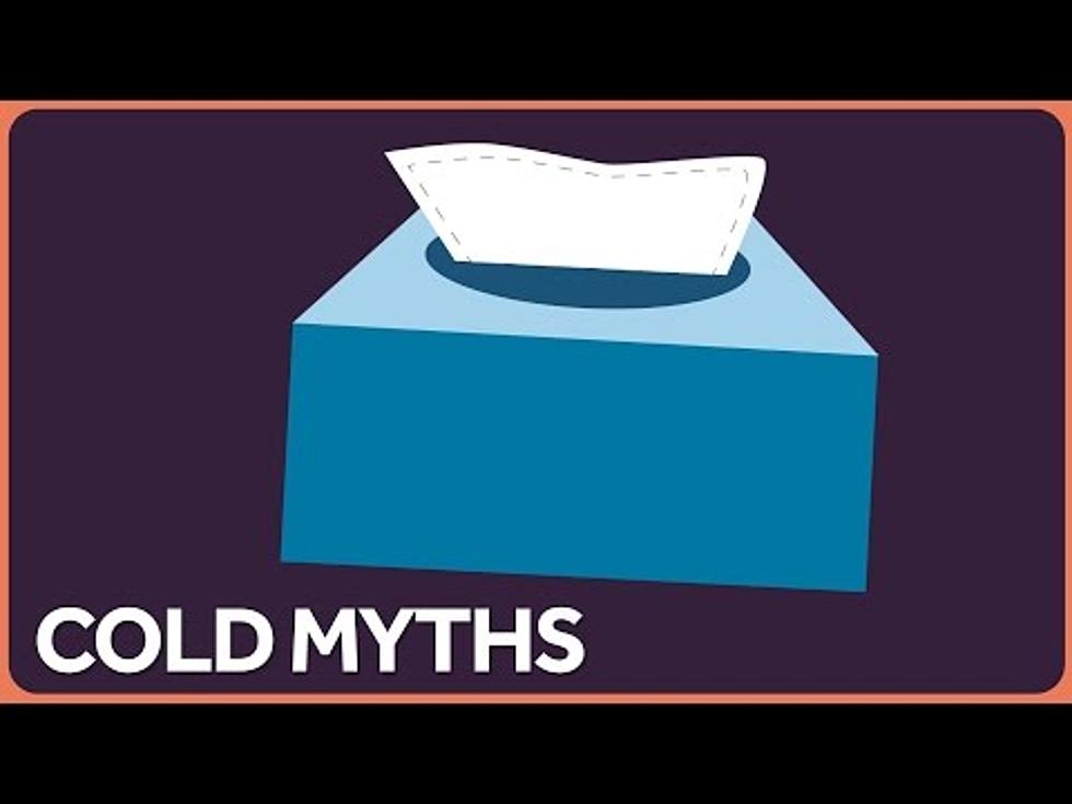 Put on a Hat? Let’s Bust Some Myths About Cold Weather