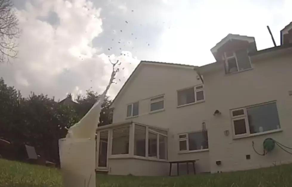 How Good Are Your Oreo Trick Shots? Probably Not as Good as This Guy’s