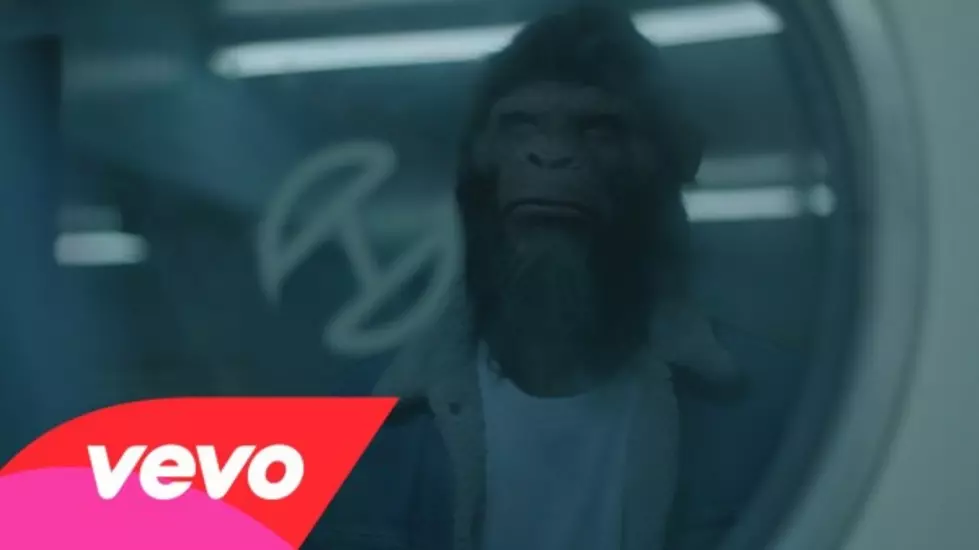 It&#8217;s an Apes Life in DJ Snake and AlunaGeorge&#8217;s Video for &#8216;You Know You Like It&#8217;