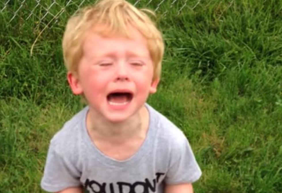 Little Boy Has Hilarious Meltdown After Stepping in Dog Poop