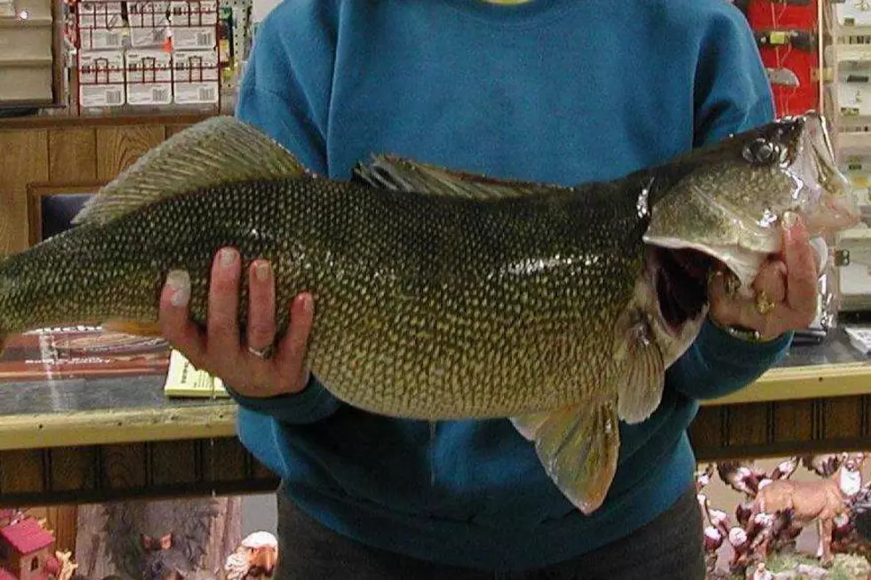 17 Fish That Set State Records in South Dakota [GALLERY]