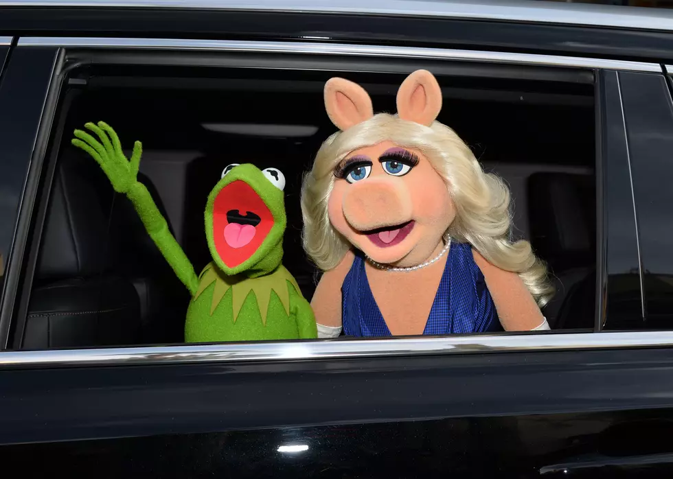 Miss Piggy, Kermit the Frog Announce Split
