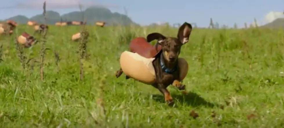 Human Condiments and Wiener Dogs in Buns Introduces the Ketchups
