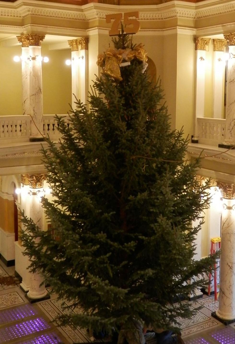 See 2016’s South Dakota State Capitol’s Featured Christmas Tree