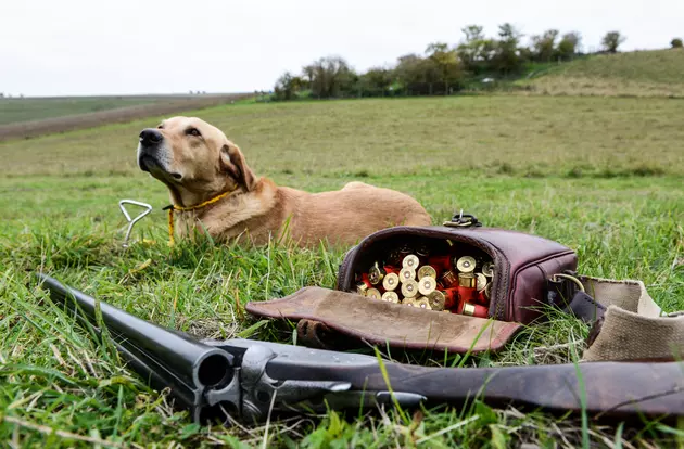 Things You Don&#8217;t Want to Do While Pheasant Hunting