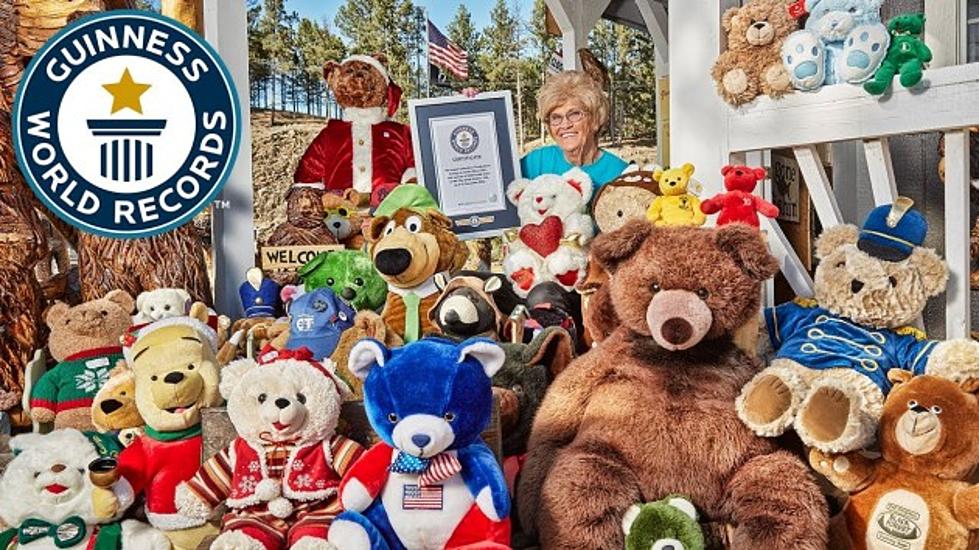 Another South Dakota World Record: Teddy Bears
