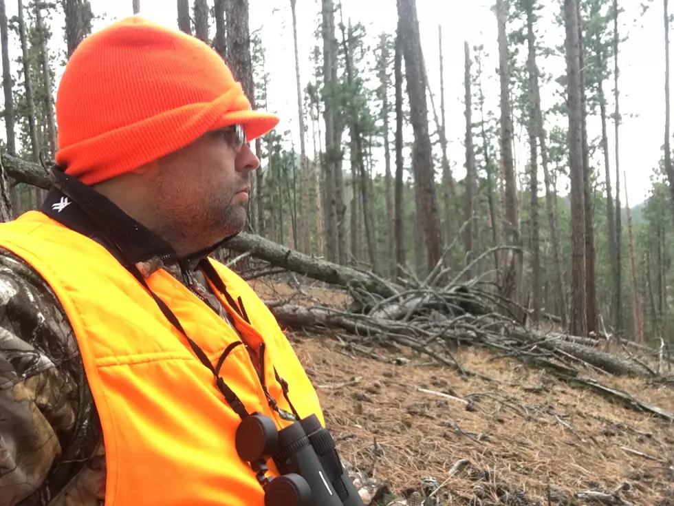 5 Ways To Ruin Your Rifle Deer Hunt