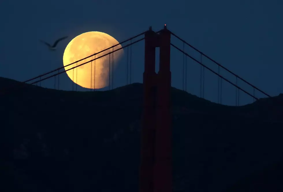 Did You Miss the Super, Blood, Blue Moon? Here’s a Video and Some Pics!