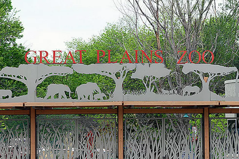 Dine With The Animals at Great Plains Zoo Jungle Jubilee