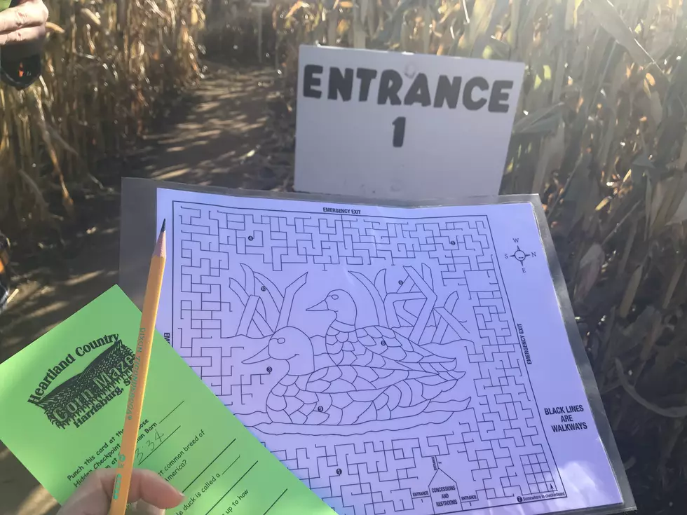 Heartland Country Corn Maze: My First Corn Maze Ever
