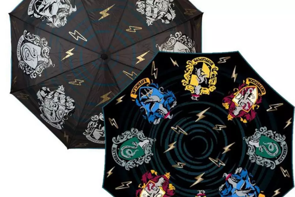 New Harry Potter Umbrella That Changes Color in the Rain