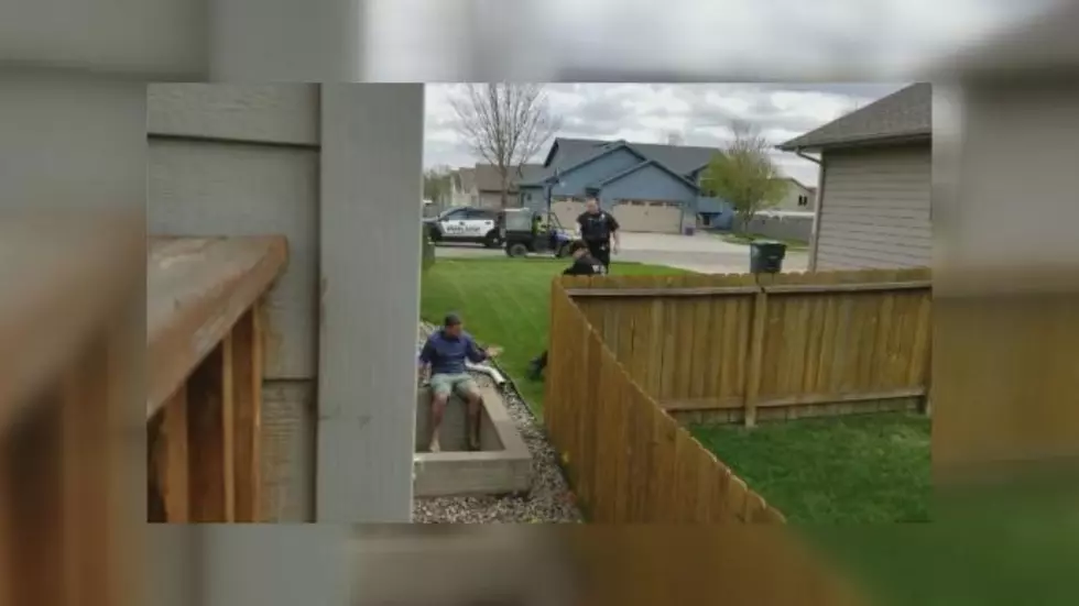 Video Shows Sioux Falls Police Dog Biting Suspect