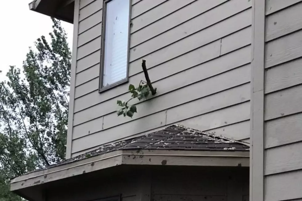 Tree Branch Punctures House During Sioux Falls Tornado