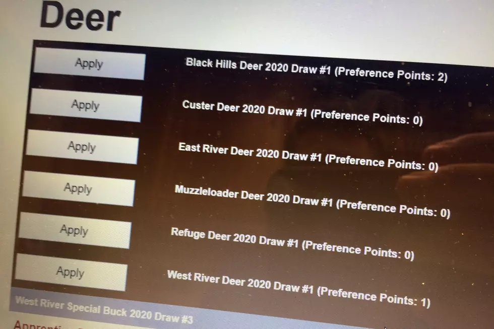 South Dakota Deer License Applications Open for 2020