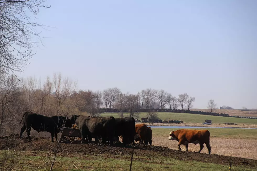 South Dakota is the Best Smelling State in the Country? Sort Of