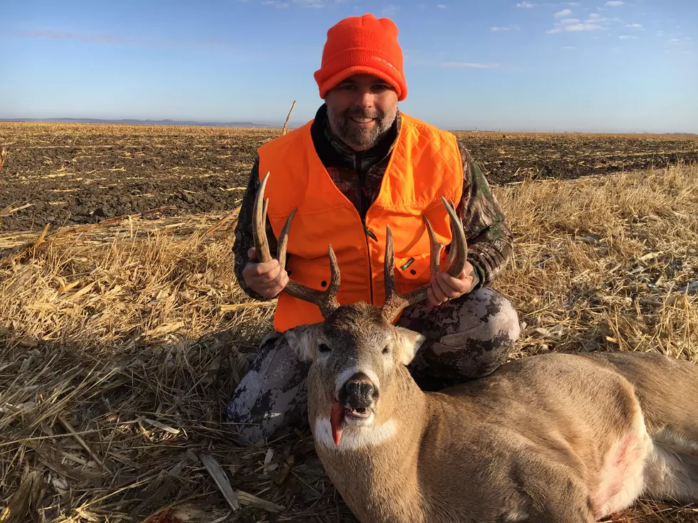 Deer License Applications for 2021 Now Open in South Dakota