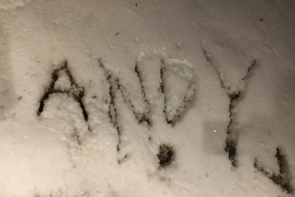 Is Your Name Written in Snow Terrifying or Hilarious?