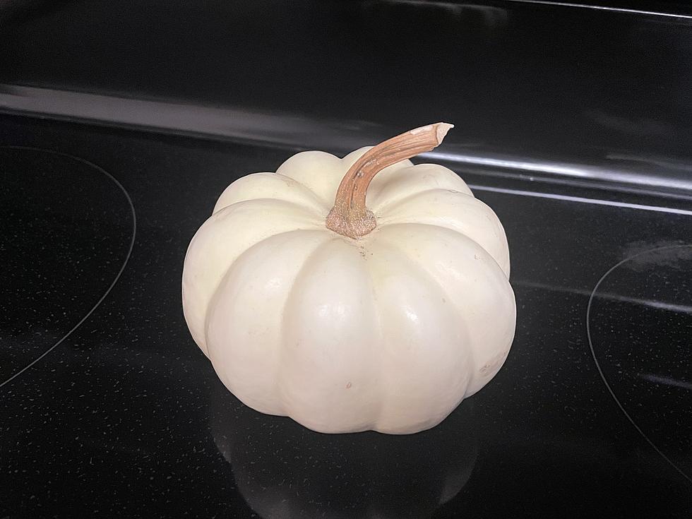 Tasha’s Magic Pumpkin – A Halloween Mystery