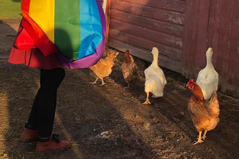 Family Day at the Farm