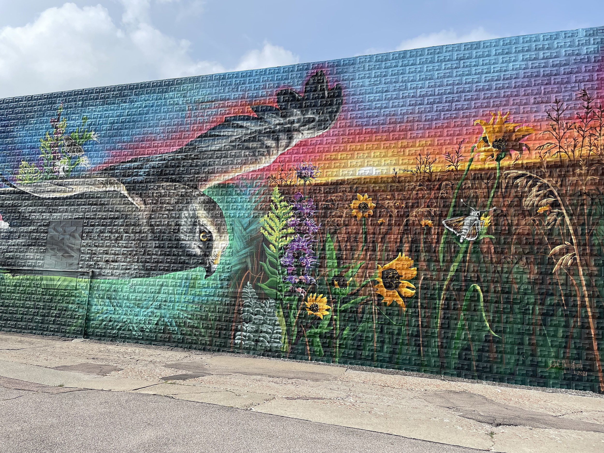 I painted a Sioux City history mural in downtown Sioux City! : r/Iowa