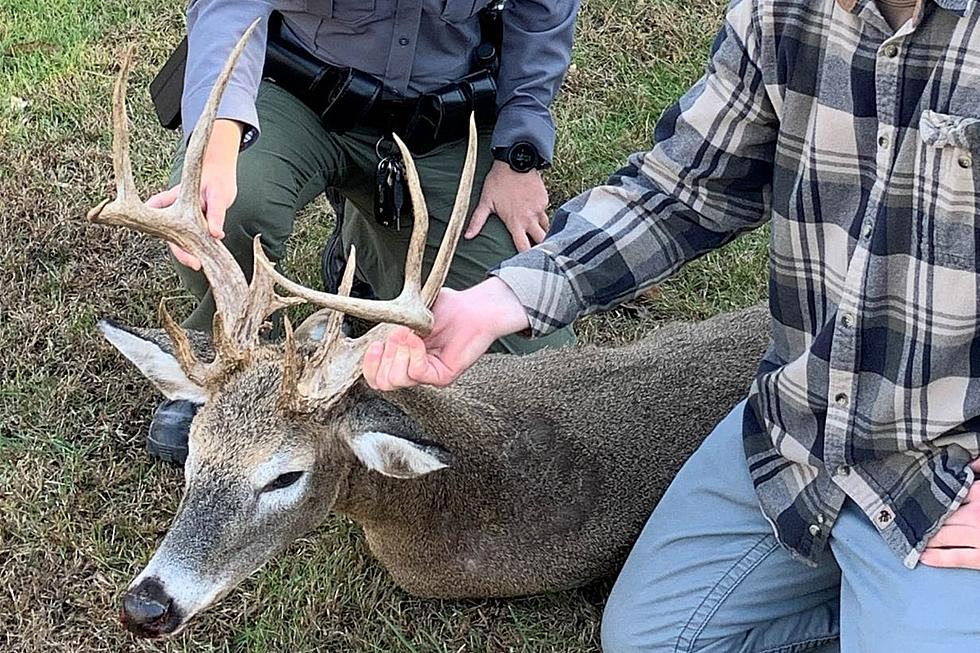 16-point Buck Turns Out to Be a 16-point DOE