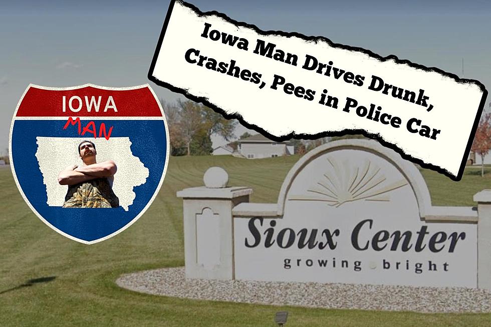 Iowa Man Drives Drunk, Crashes Car, Pees in Police Car