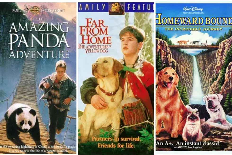 Why Were There So Many Kid/Animal Movies in the 90s?