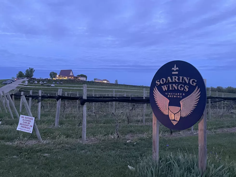 My Visit to Nebraska&#8217;s Soaring Wings Vineyard and Brewery