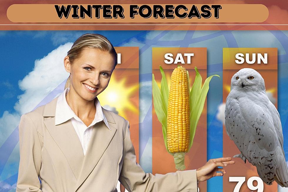 20 Way To Tell If This Winter Will Be a Harsh One